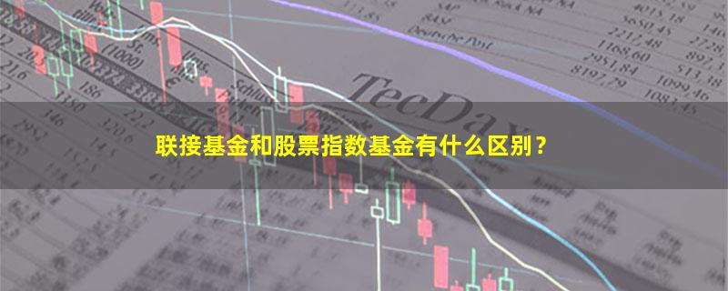 A股联接基金和股票指数基金有什么