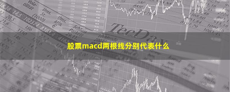 股票macd两根线分别代表什么