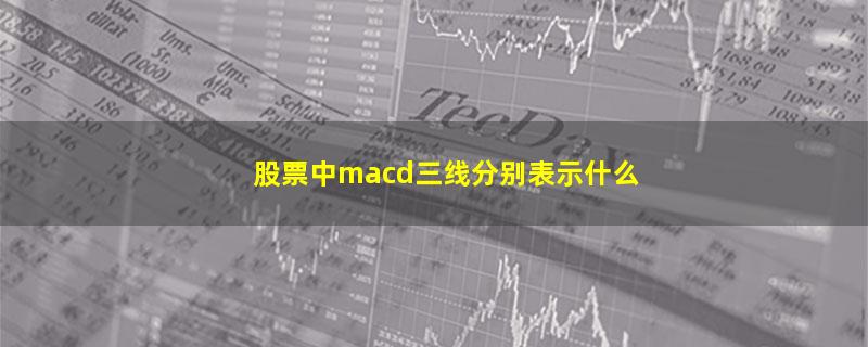 股票中macd三线分别表示什么