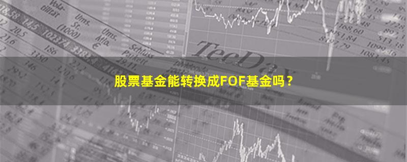 A股股票基金能转换成FOF基金吗？