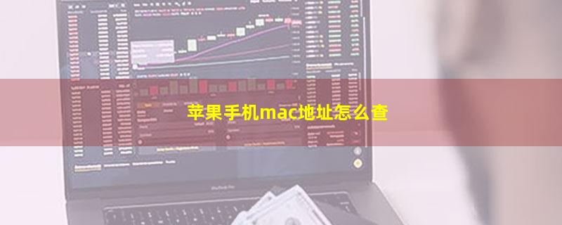 苹果手机mac地址怎么查